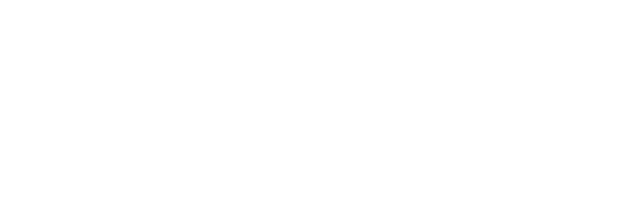 ZZXX logo white